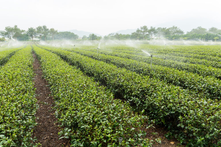 agricultura