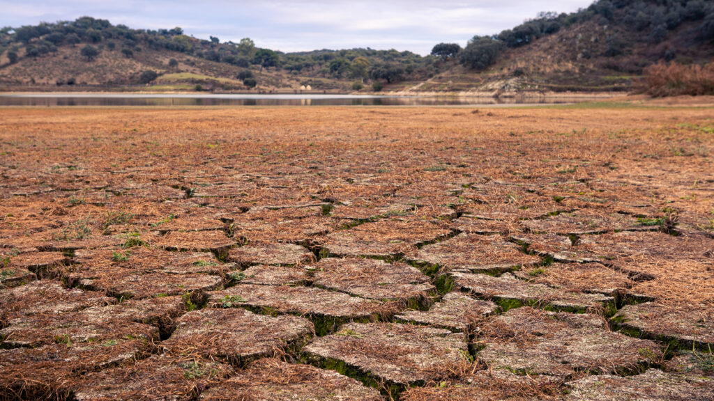 El Impacto del Cambio Climático en los Recursos Hídricos