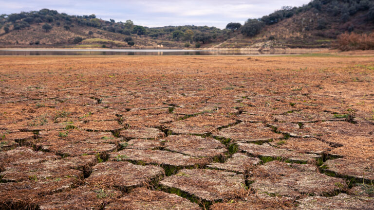 cambio climático